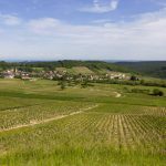 Domaine Philippe TRENET<br> Meloisey